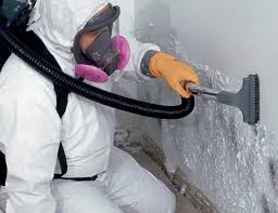 Best Environmental Consulting for Mold Prevention in Warren, PA